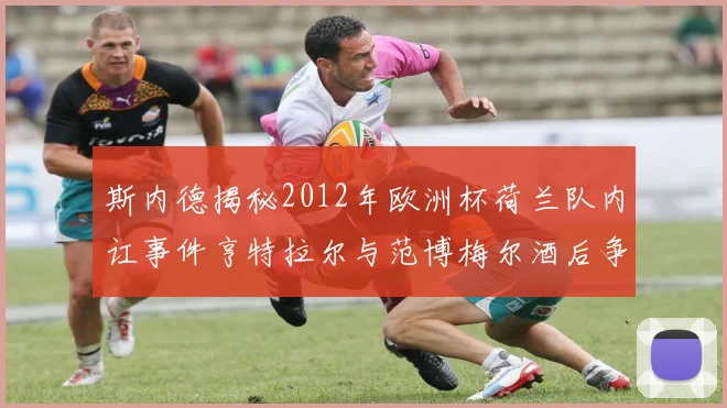 斯内德揭秘2012年欧洲杯荷兰队内讧事件亨特拉尔与范博梅尔酒后争执内幕